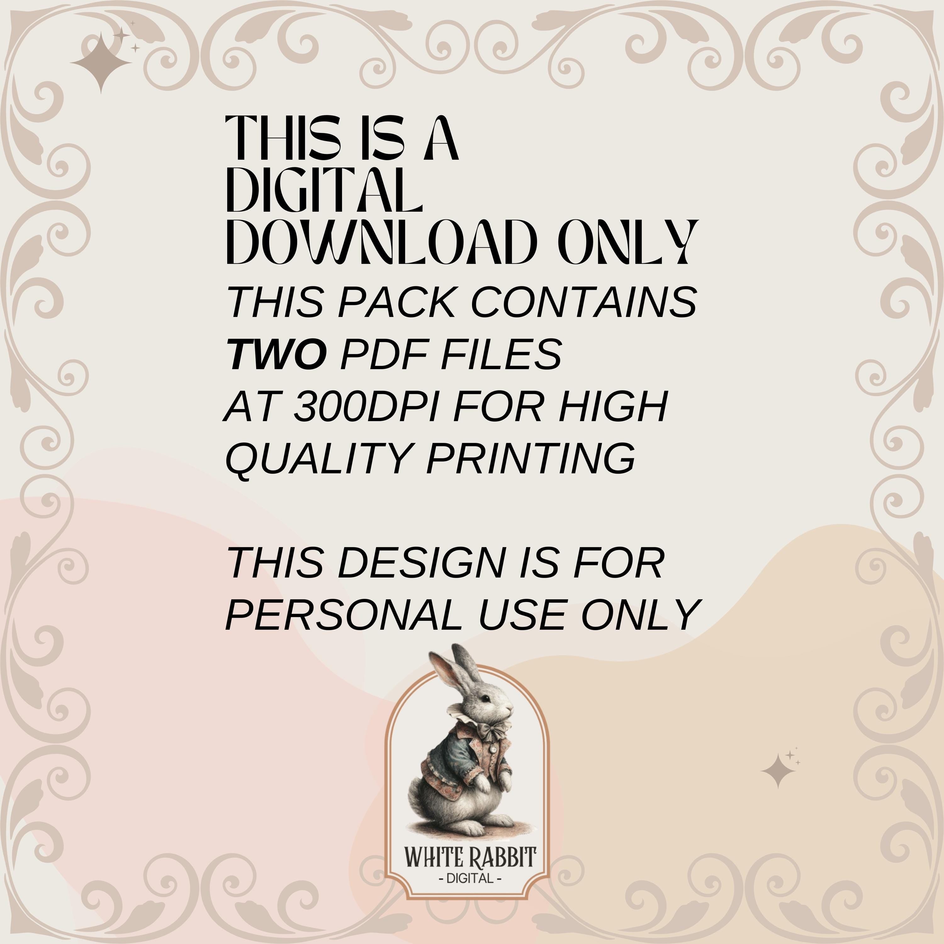 Spreuke 2:1-8 Bible Journal Pages PDF | Afrikaans | Rose Gold & Sage Fussy Cut Elements