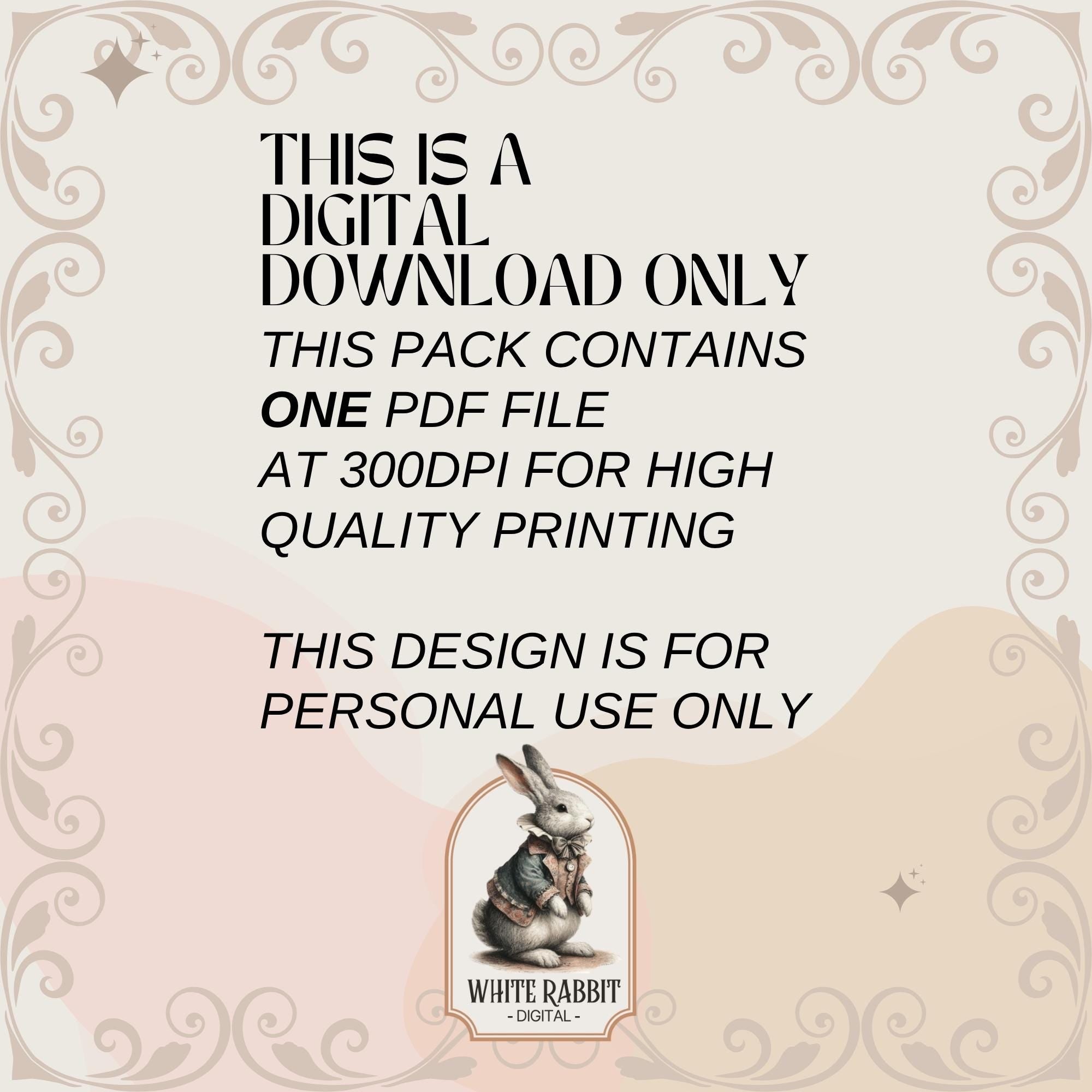 Floral Bible Verse Printable | Afrikaans Scripture Art (Digital Download)