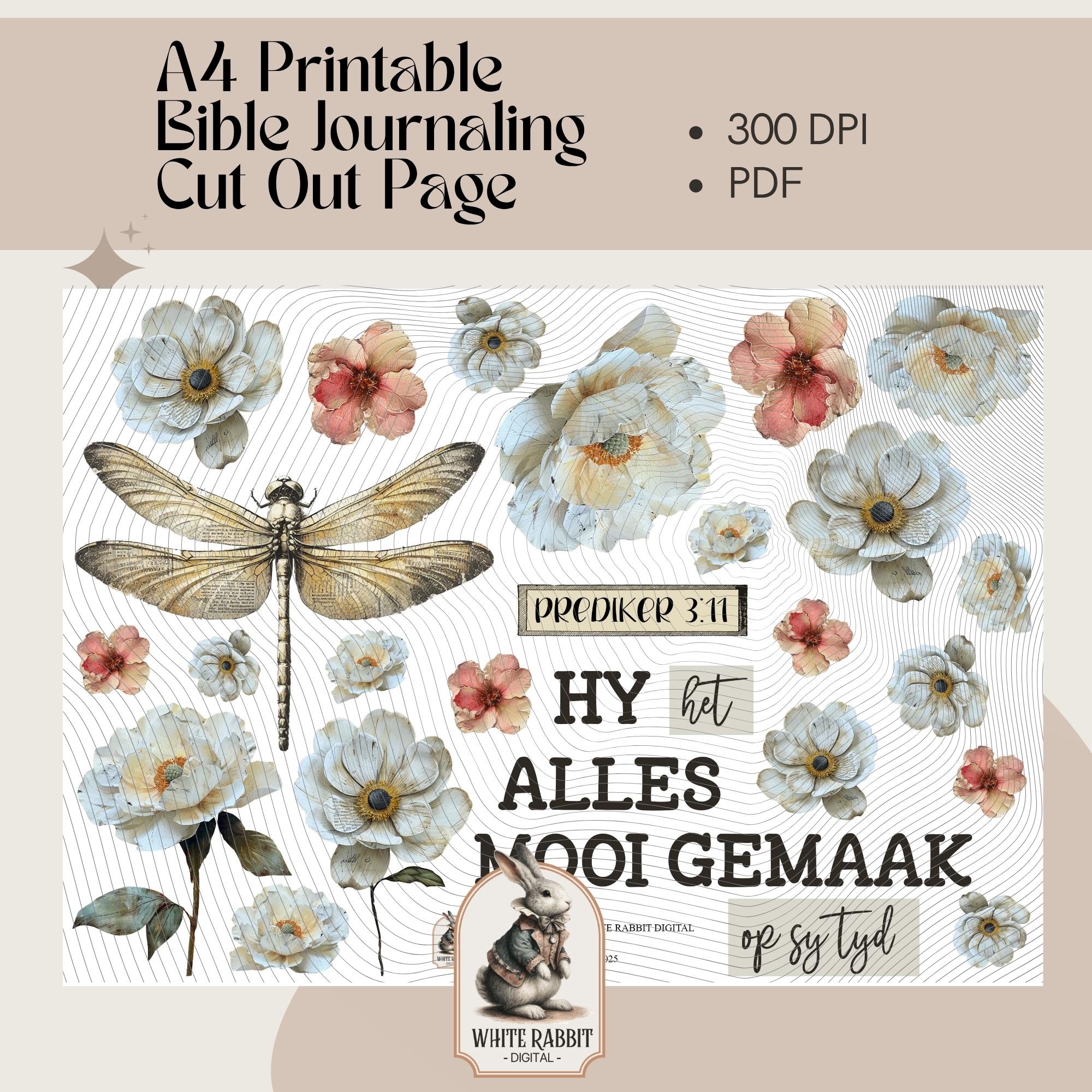 Floral Bible Verse Printable | Afrikaans Scripture Art (Digital Download)