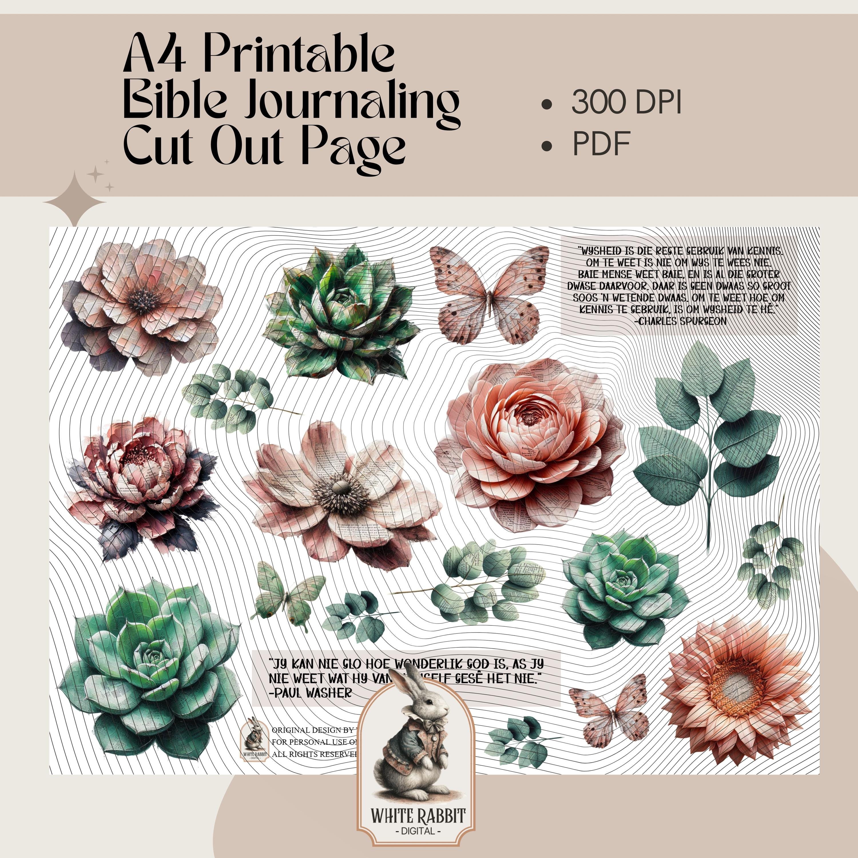 Spreuke 2:1-8 Bible Journal Pages PDF | Afrikaans | Rose Gold & Sage Fussy Cut Elements