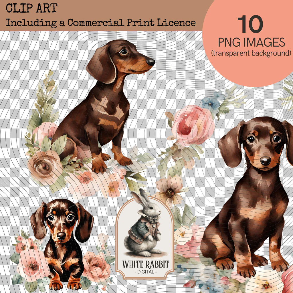 Shabby Chic Dachshund Puppy with Florals | PNG Set with Transparent Background | Commercial Print License