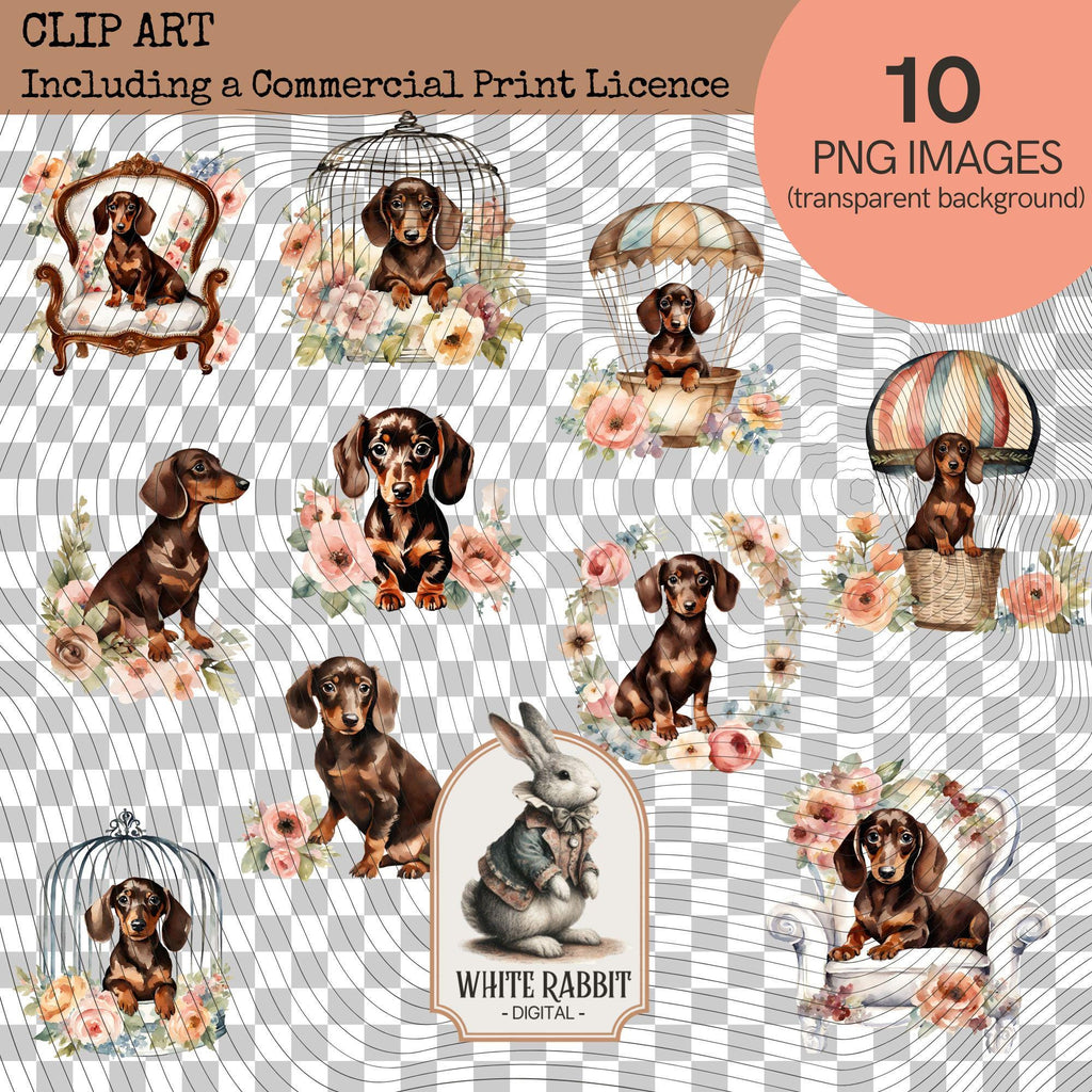 Shabby Chic Dachshund Puppy with Florals | PNG Set with Transparent Background | Commercial Print License