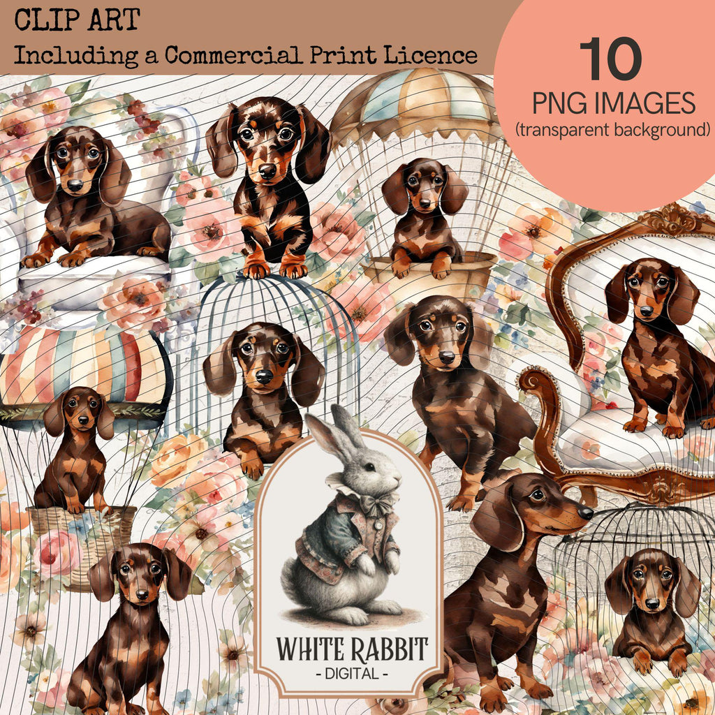 Shabby Chic Dachshund Puppy with Florals | PNG Set with Transparent Background | Commercial Print License