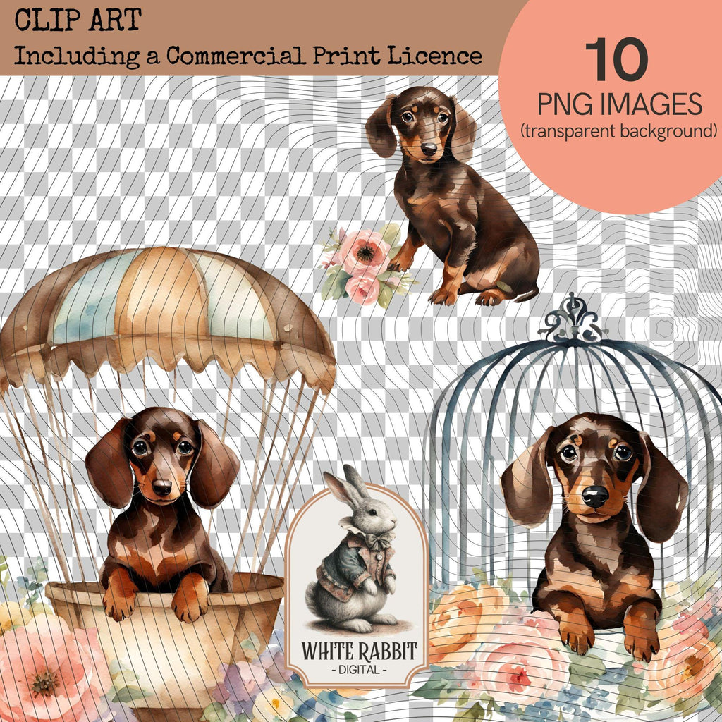 Shabby Chic Dachshund Puppy with Florals | PNG Set with Transparent Background | Commercial Print License