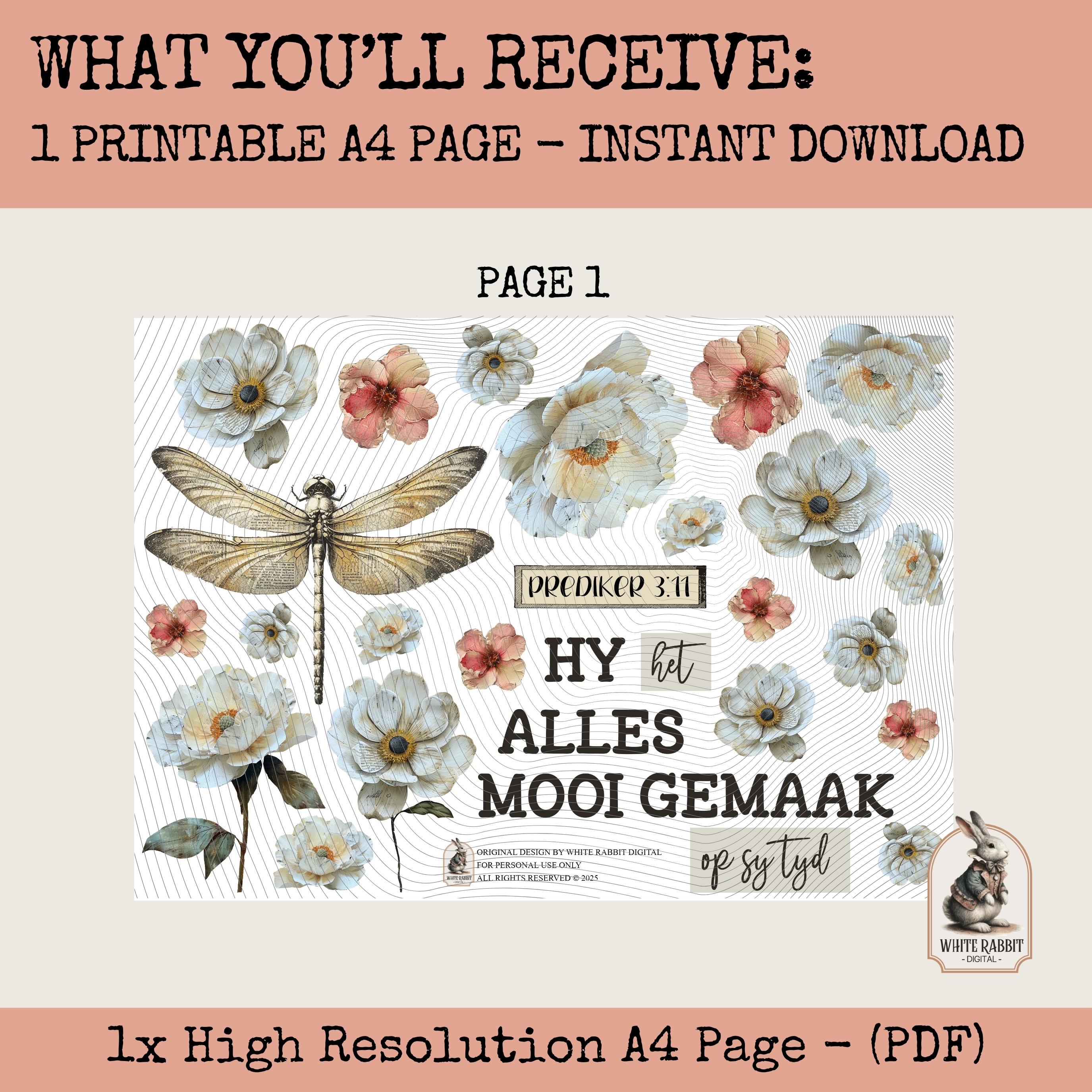 Naaldekoker Prediker 3:11 (Ecclesiastes) | Afrikaans Bible Jouranaling Page (Instant Download)