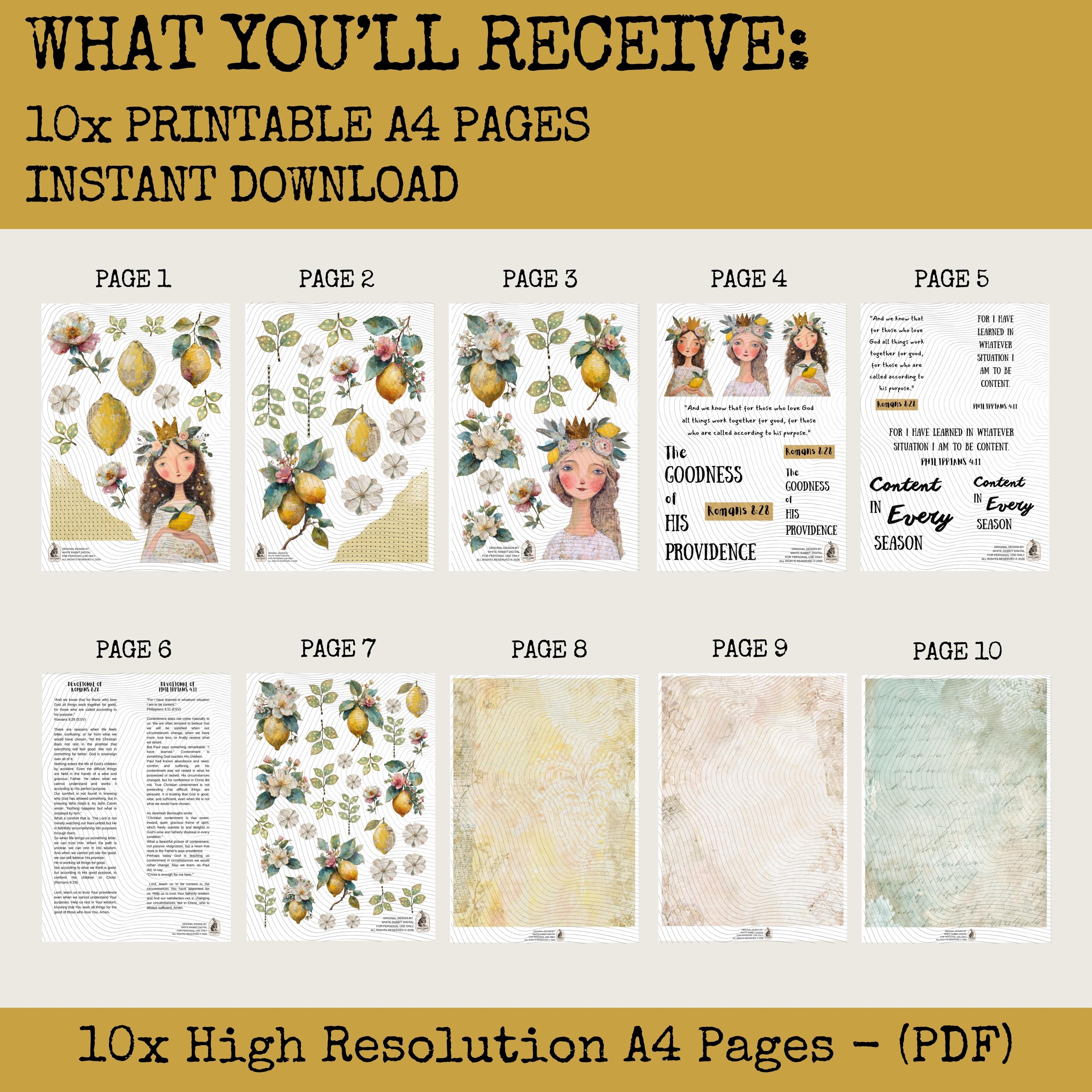 Mini Cut Out Book Instant Download | Bible Journaling Kit | Biblical Contentment | 10 Pages